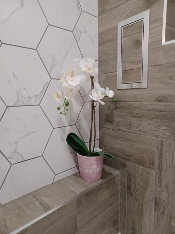 Tara Deluxe Apartment 瓦爾納 外观 照片